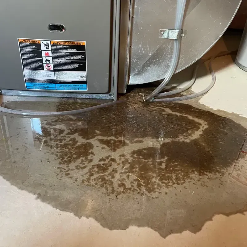 Appliance Leak Cleanup in Park Hills, KY